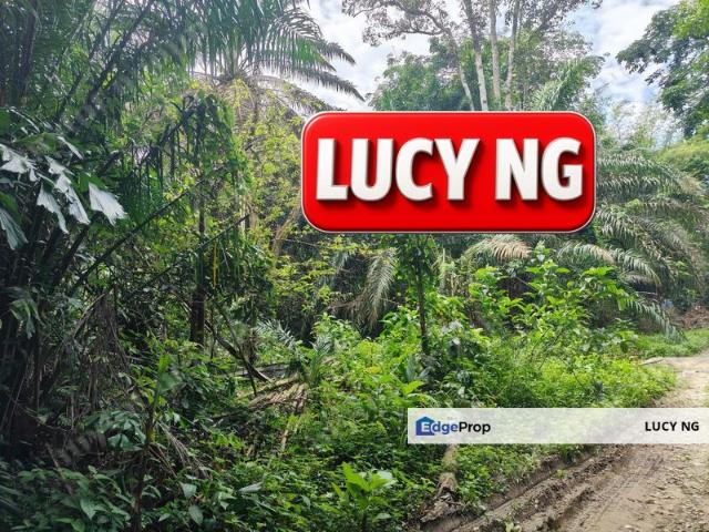 Shop for sale in Junjong, Kedah