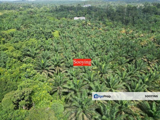 Shop for sale in Junjong, Kedah