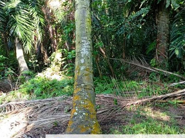 House for sale in Port Klang, Selangor