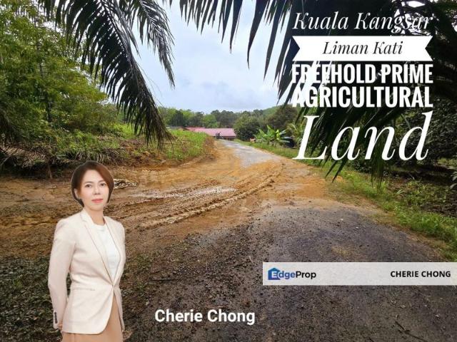 Shop for sale in Perak, Tanjong Ipoh