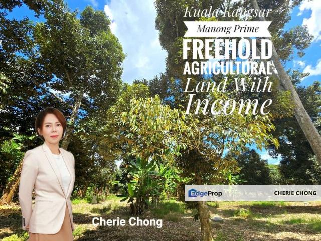 Shop for sale in Perak, Tanjong Ipoh