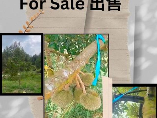 Warehouse for sale in Pahang