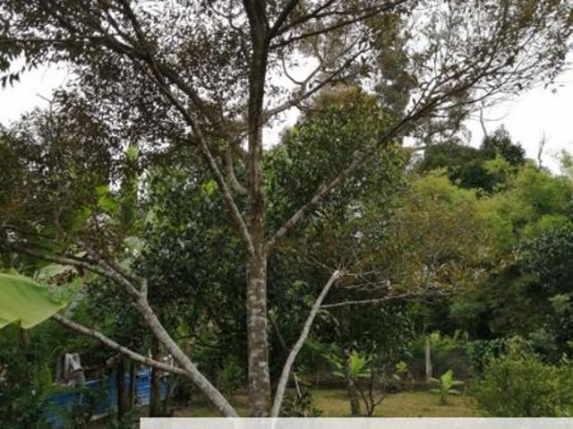 Shop for sale in Lengging, Negeri Sembilan