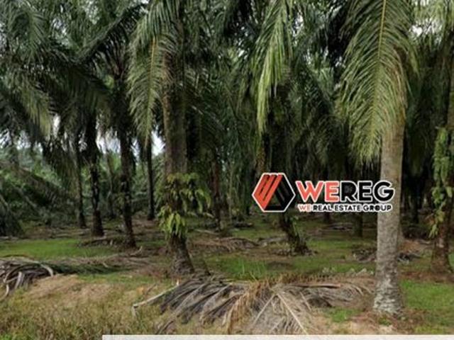Warehouse for sale in Port Klang, Selangor