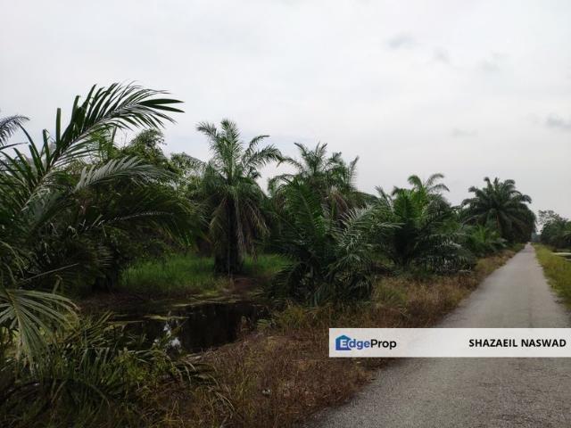 House for sale in Selangor