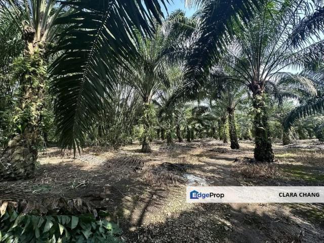Shop for sale in Pontian, Johor
