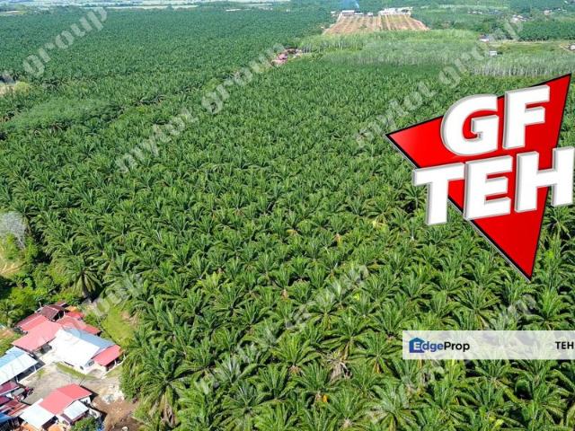 Shop for sale in Kedah