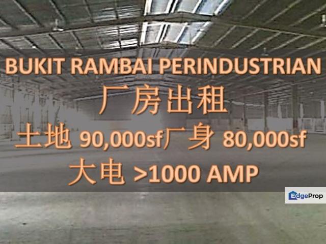Warehouse for rent in Malaka