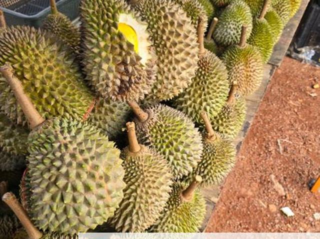 Shop for sale in Malaka