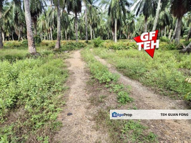 Warehouse for sale in Wellesley, Penang