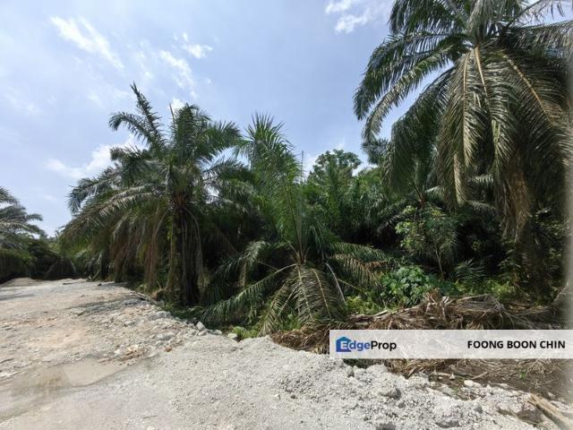 Warehouse for sale in Jenjarom, Selangor