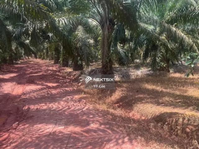 Residential House for sale in Johore Bahru, Johor