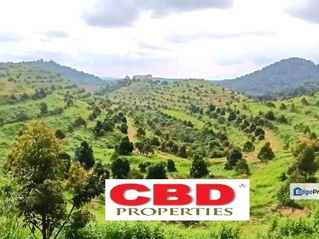 Shop for sale in Tampin, Negeri Sembilan