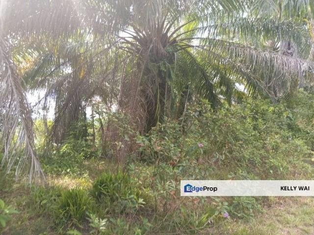 Shop for sale in Tampin, Negeri Sembilan