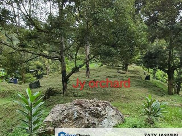 Shop for sale in Pahang