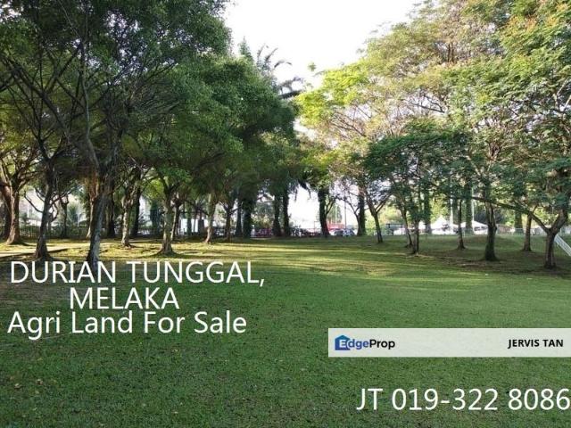 Shop for sale in Malaka