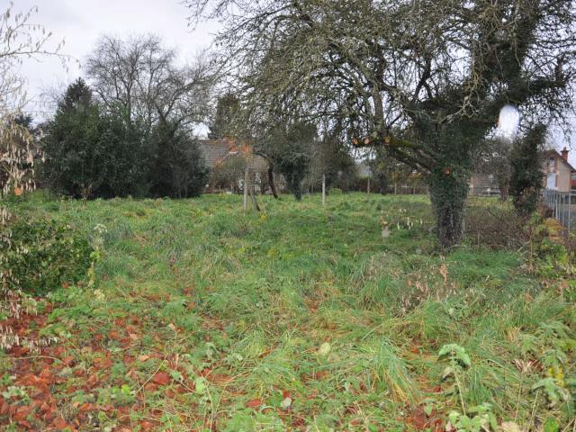 Terrain vente à Vichy, Jaligny-sur-besbre