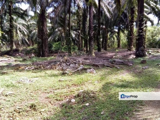 Shop for sale in Perak