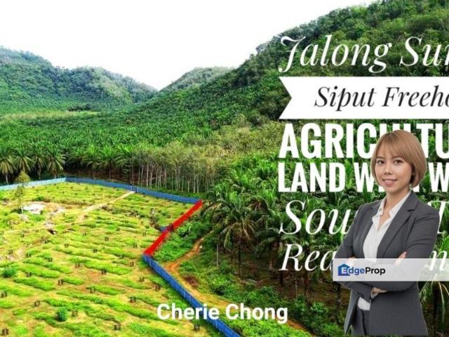 Shop for sale in Perak, Perak Tengah