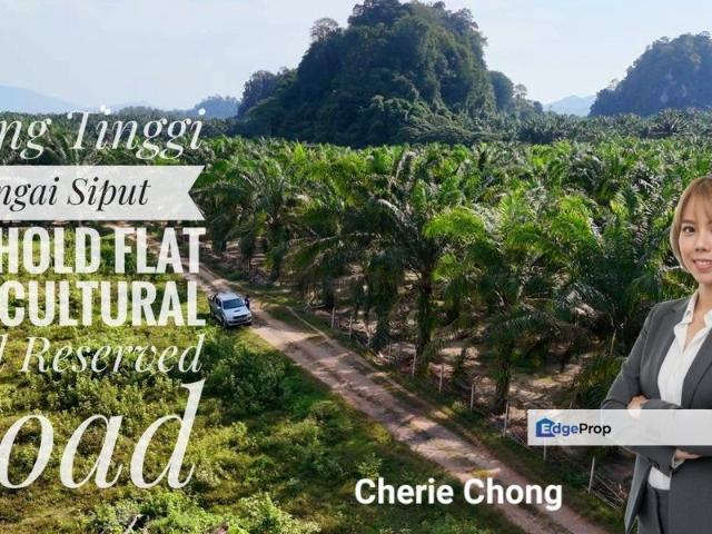 Shop for sale in Perak, Perak Tengah