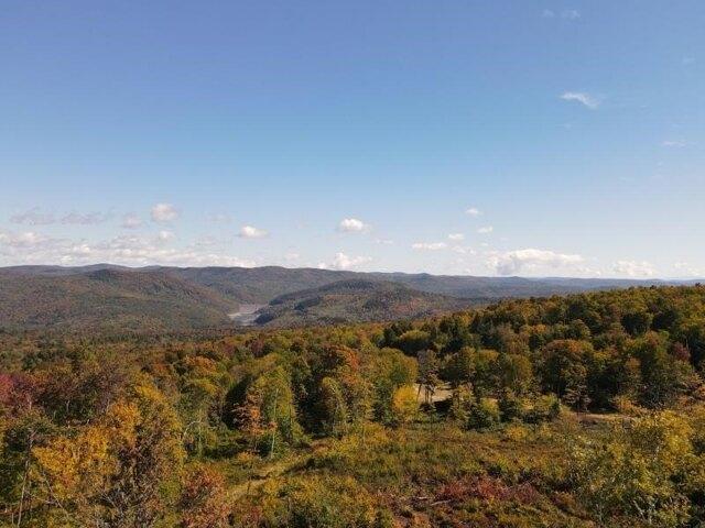 Land for sale in Jamaica, Vermont