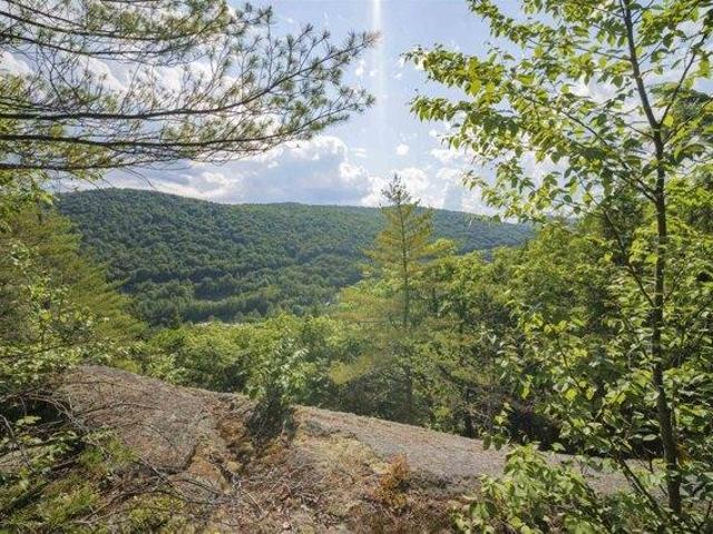 Land for sale in Jamaica, Windham County