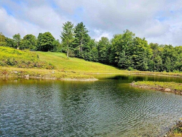 Land for sale in Jamaica, Windham County