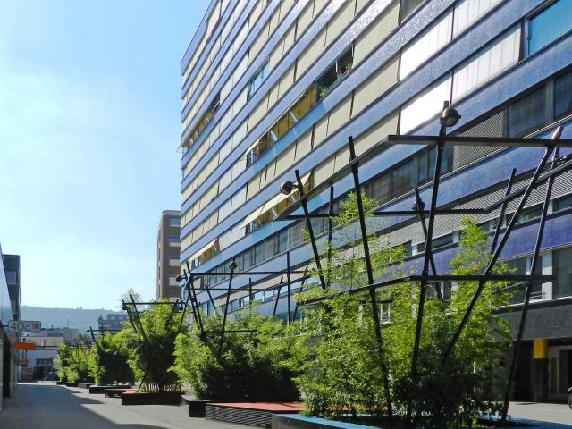 Apartment mieten in Einigen, Zürich