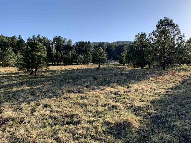 Land for sale in Mayhill, New Mexico