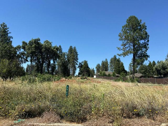 Land for sale in Butte, California