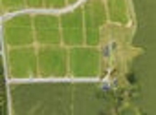 Land for sale in Horowhenua District