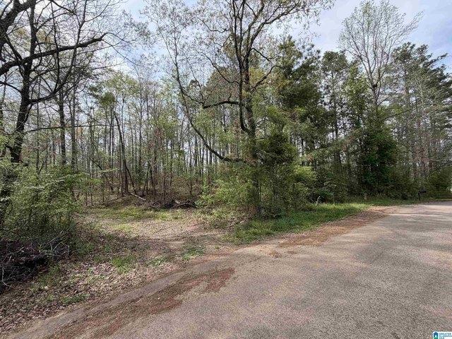 Land for sale in Trussville, Alabama