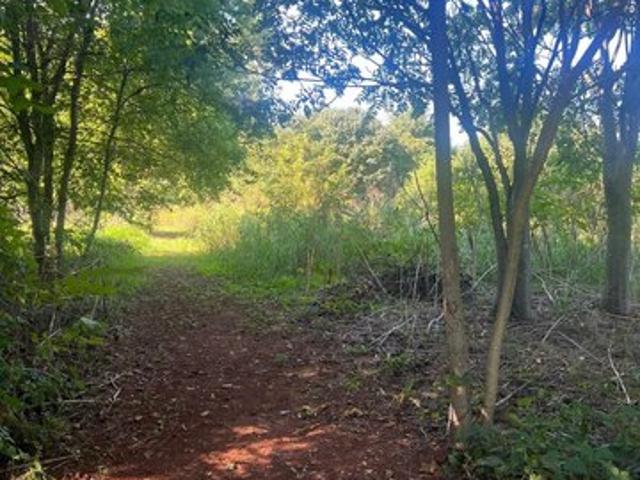 Land for sale in Orange, Orange County