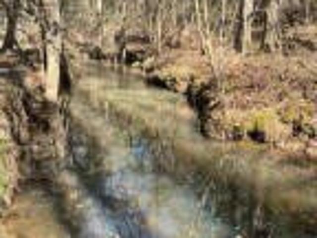 Land for sale in Tylertown, Mississippi