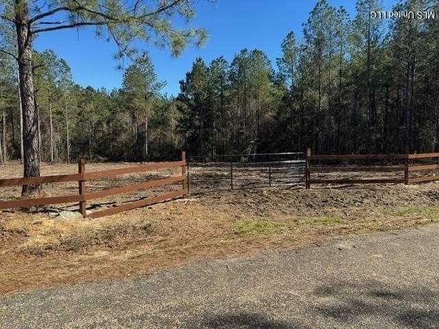 Land for sale in Jayess, Mississippi