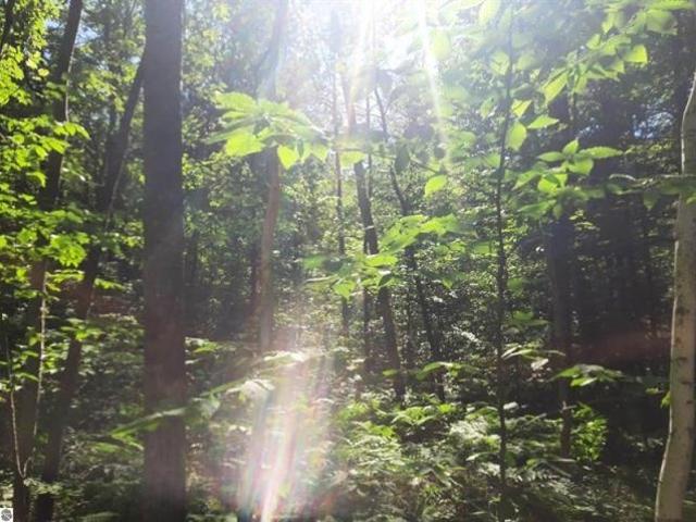 Land for sale in Glennie, Michigan