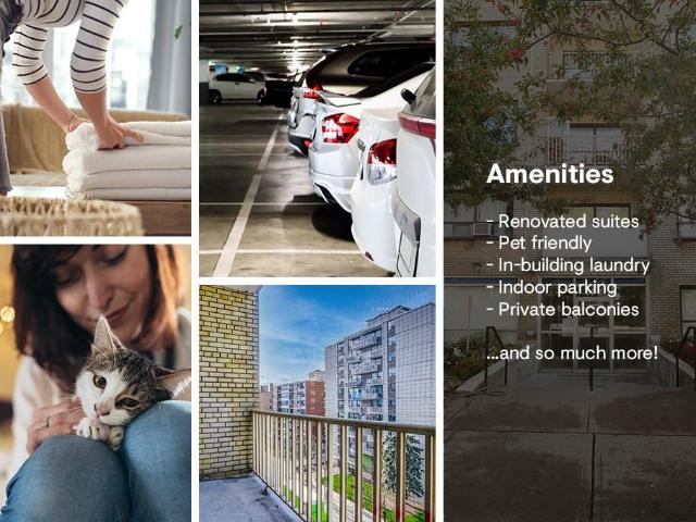 Apartment for rent in Woburn, Ontario