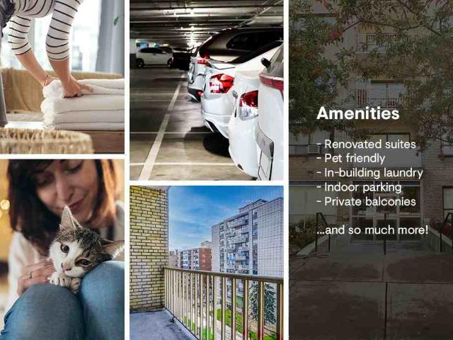 Apartment for rent in Woburn, Ontario