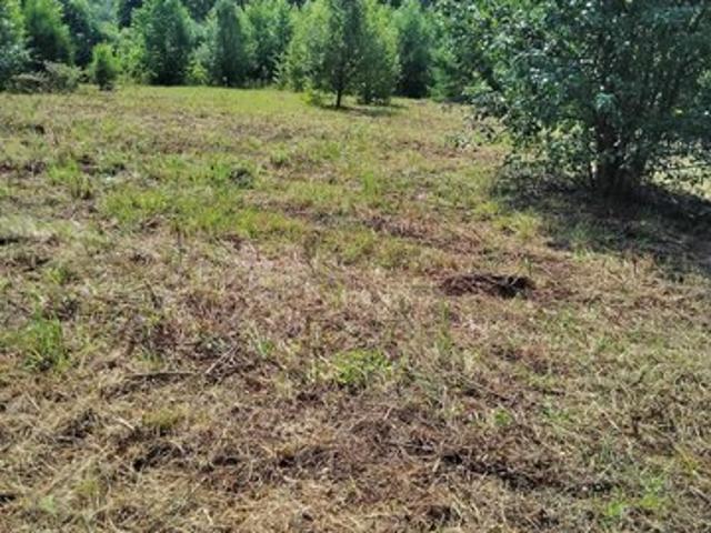 Land for sale in Easley, South Carolina