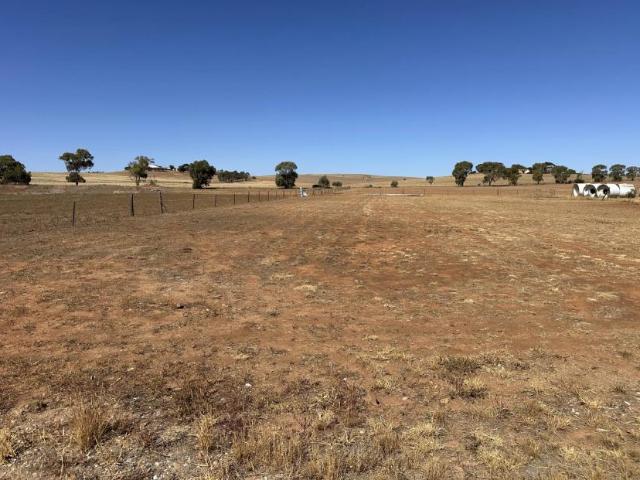 Land for sale in Jamestown, South Australia