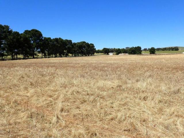 Land for sale in Jamestown, South Australia