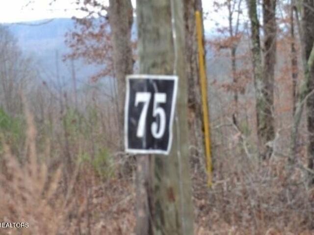 Land for sale in Tennessee