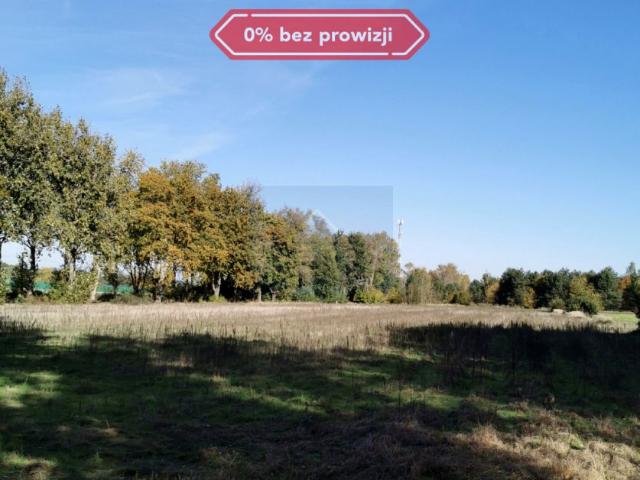Grunt na sprzedaż w Kruszyna, Śląskie