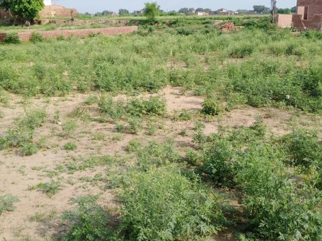 Land for sale in Gujranwala, Islamabad Capital Territory