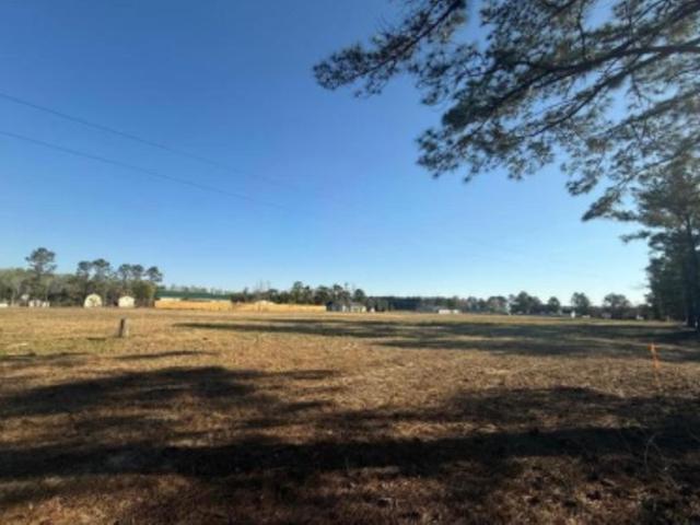 Land for sale in Latta, South Carolina