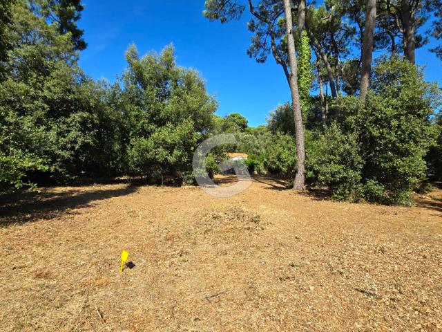 Terrain vente à Jard-sur-mer, Vendée