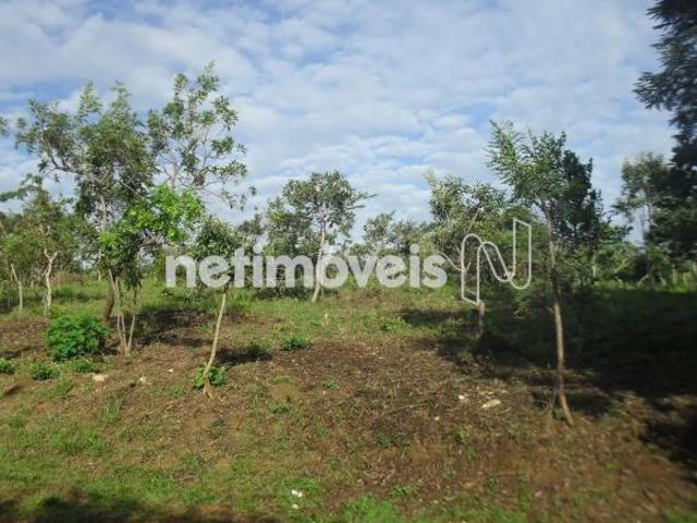 Terreno venda em Região Geográfica Imediata do Distrito Federal, Região Integrada de Desenvolvimento do Distrito Federal e Entorno