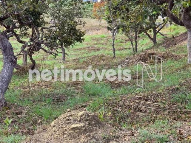 Terreno venda em Região Geográfica Imediata do Distrito Federal, Região Integrada de Desenvolvimento do Distrito Federal e Entorno