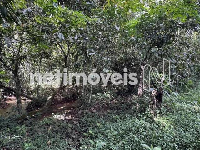 Terreno venda em Região Geográfica Imediata do Distrito Federal, Região Integrada de Desenvolvimento do Distrito Federal e Entorno