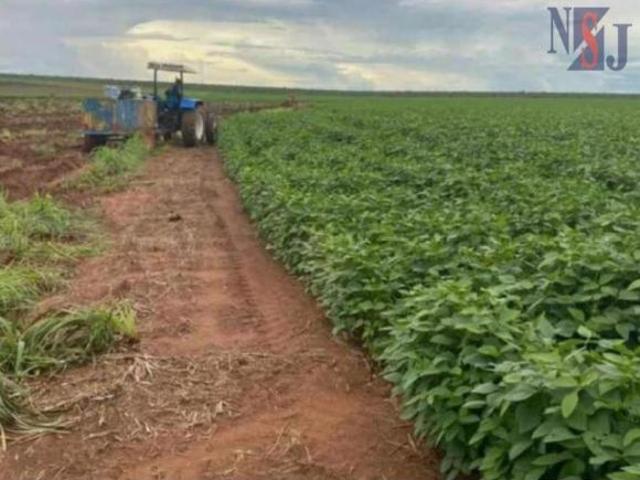 Sítio e chácara venda em Região Geográfica Imediata de Tangará da Serra, Tangará da Serra